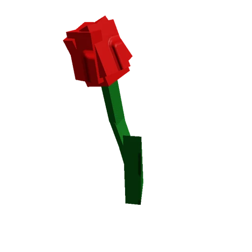 Tulip