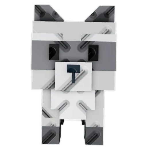Raccoon